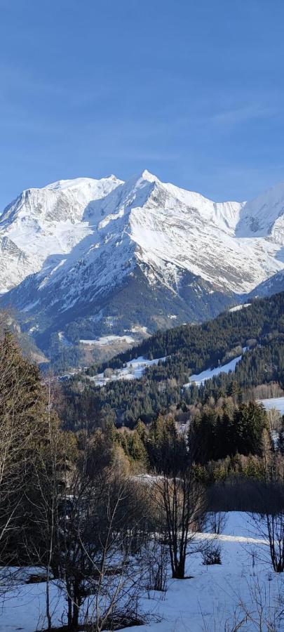 Appartement Ideal Ete Ou Hiver, Pour Skieurs Et Promeneurs, 4 Personnes Saint-Gervais-les-Bains Dış mekan fotoğraf